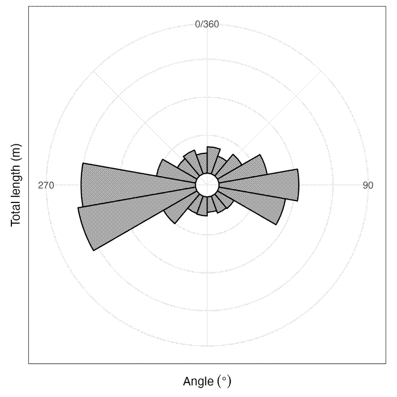 Rose diagram showing total error length per 20 degree angle bin.