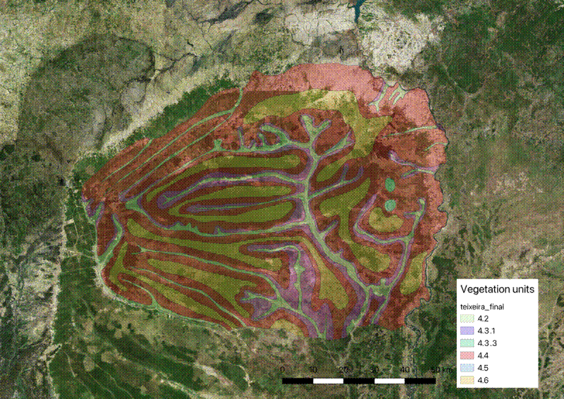 Georeferenced vector vegetation map overlaid on true colour satellite imagery.