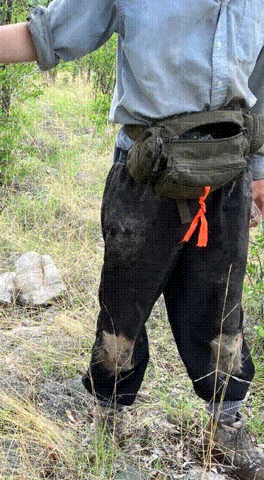 The bag on my back during fieldwork in a plot.