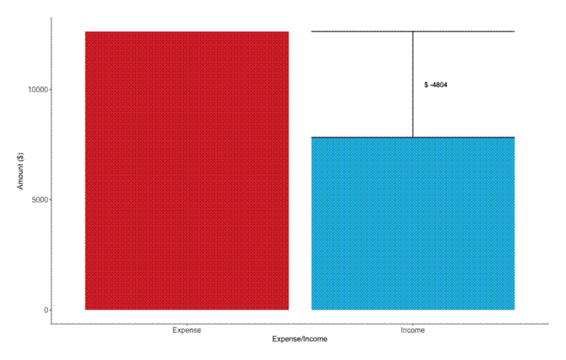 30 days income vs. expenses