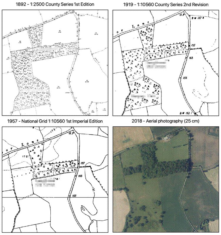 Maps of the woodland in 1892, 1919, 1957, and 2018