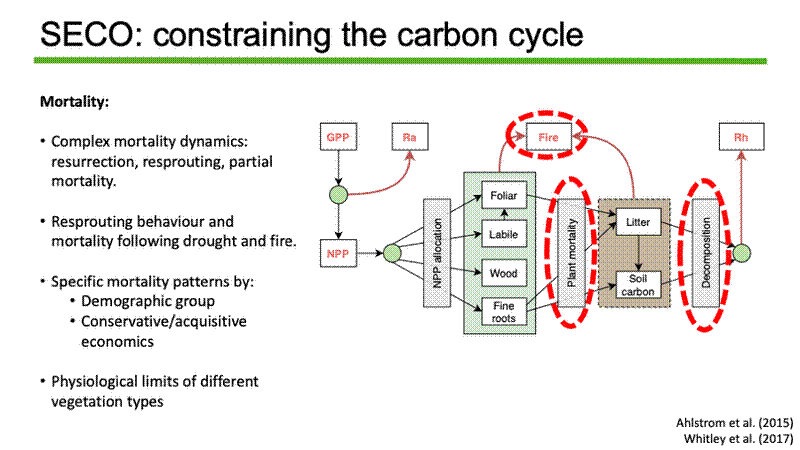 Slide 7