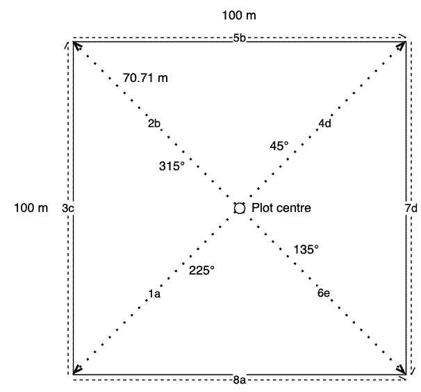 Diagram of tape measure layout for a 100x100 m square plot.